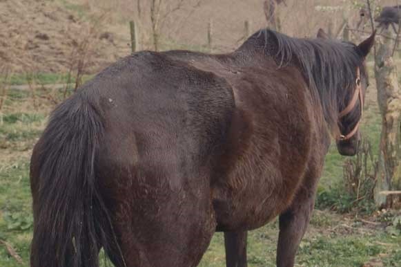 n..15